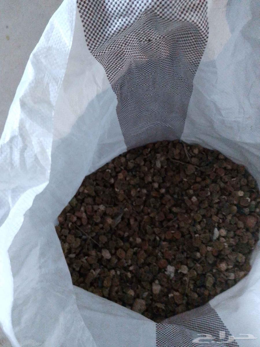 Dry dates for animals at cheap prices, sale allowed one bag63618877614721111