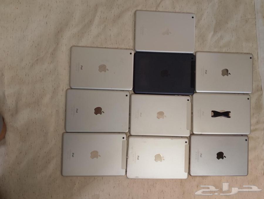iPad Mini 1 Wi-Fi and Wi-Fi + Cellular63618873840258113