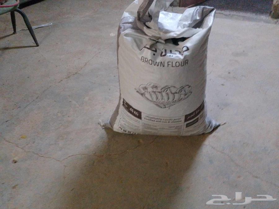 Dry dates for animals at cheap prices, sale allowed one bag63618877614721112