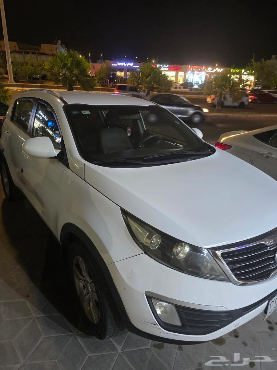 المدينة المنورة63655058601346112