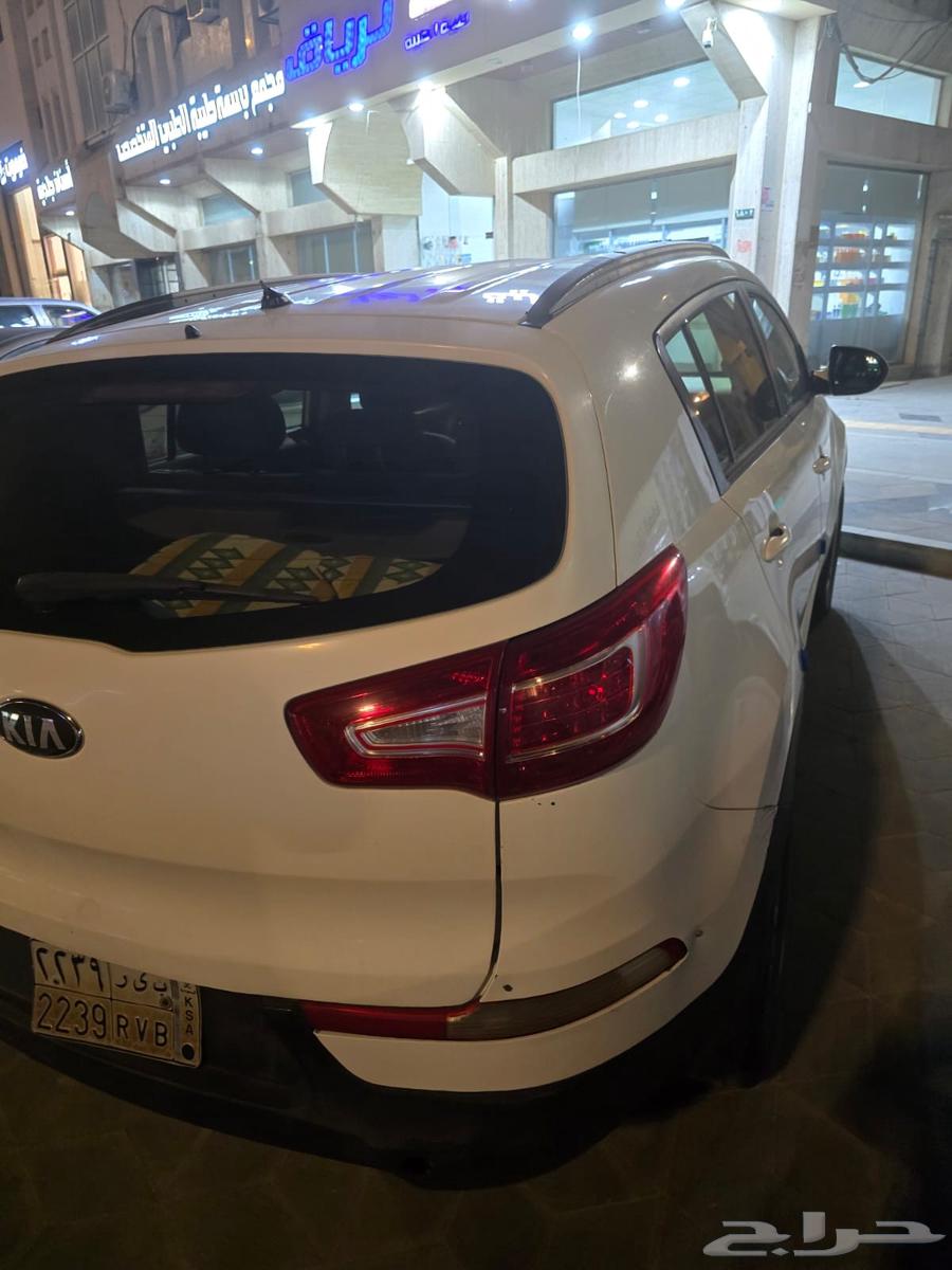 المدينة المنورة63655058601346113