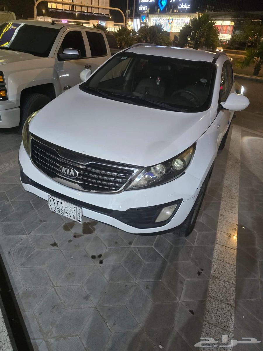 المدينة المنورة63655058601346114