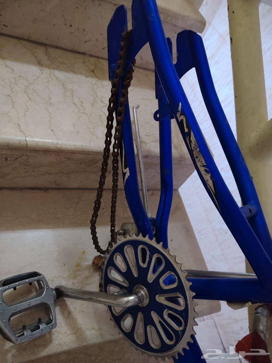 Bicycle frame with chain63622626466050112