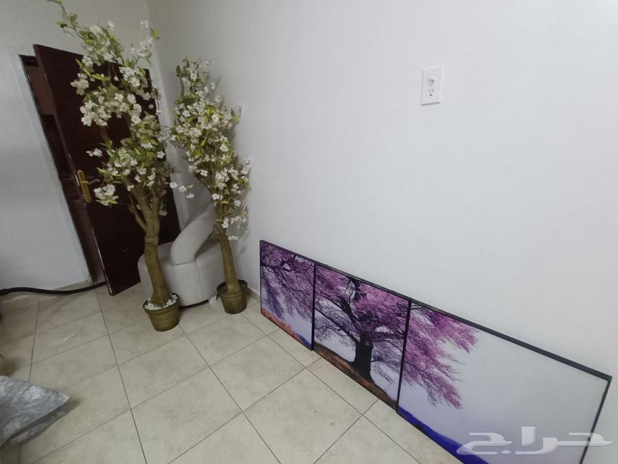 Artificial tree and board for sale63622552093313111