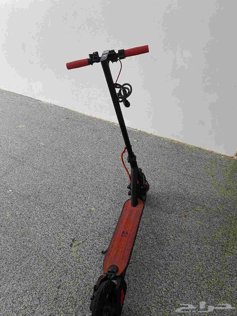 Gorilla Scooter 2025 Model63620746773762111