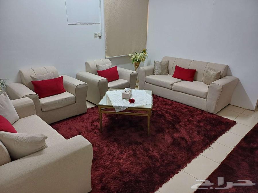 Sofa, rug, curtain, table, two flower vases with roses63622794251394112