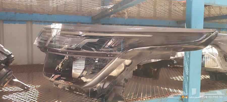 Celtos 202163654918167299110