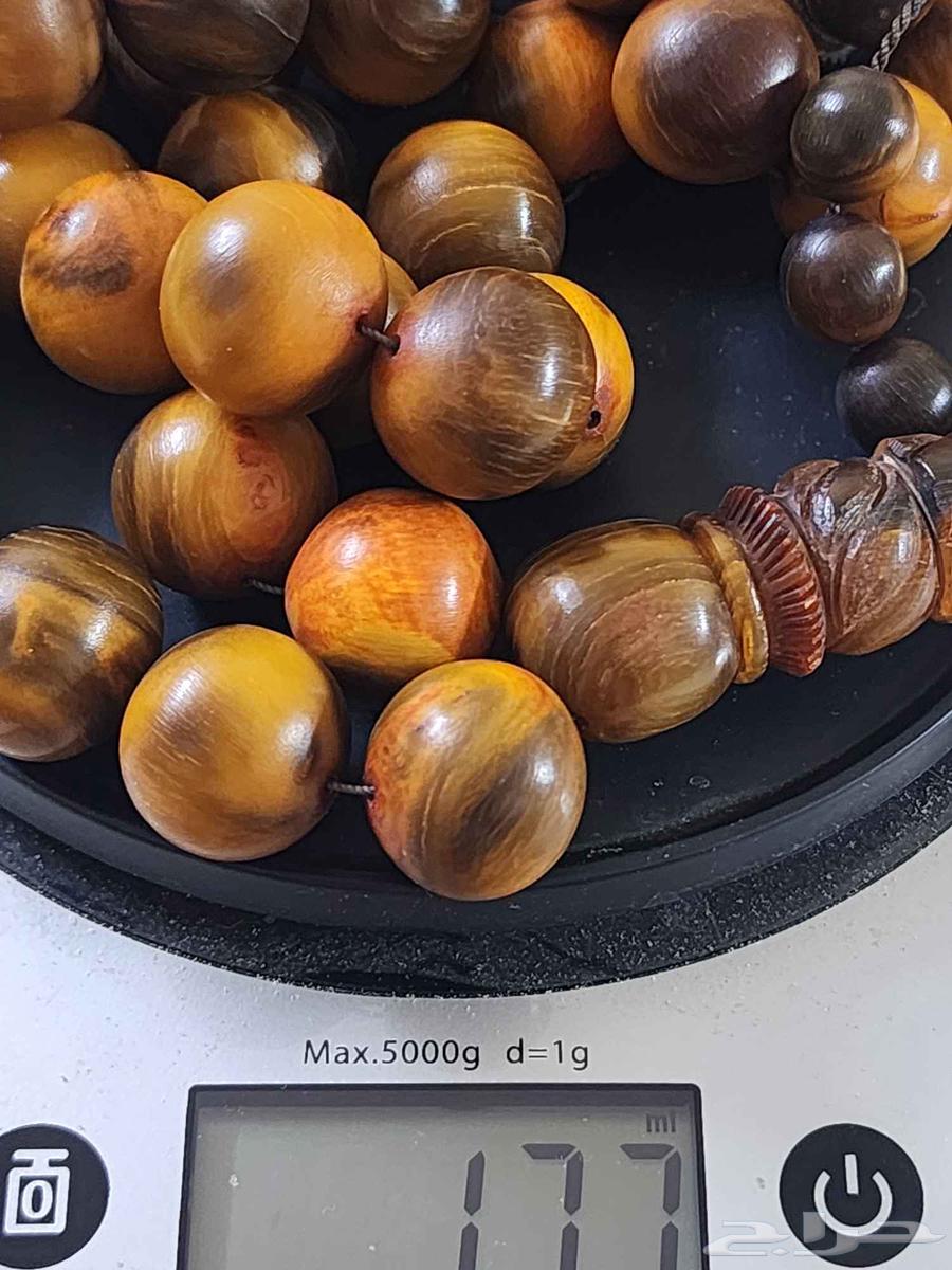 مسباح خرتيت من النوادر جامبوو63655099797633114