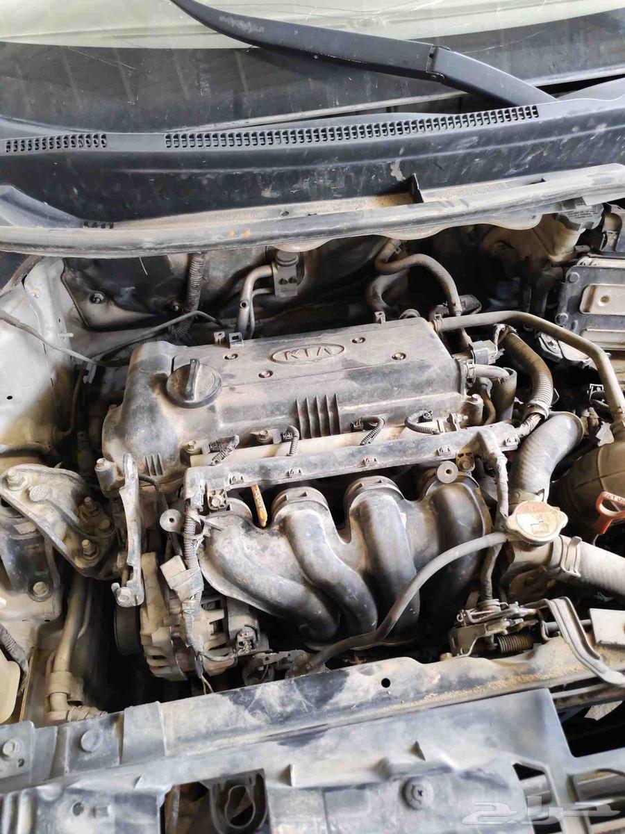 Kia Rio 201463655170834562113