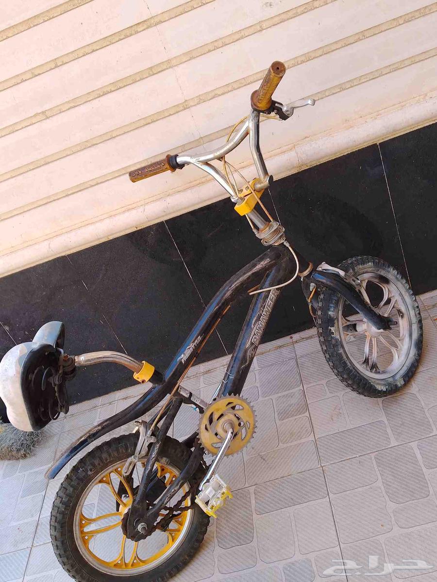 Butterfly Cycle and Cobra Cycle63654697814019113