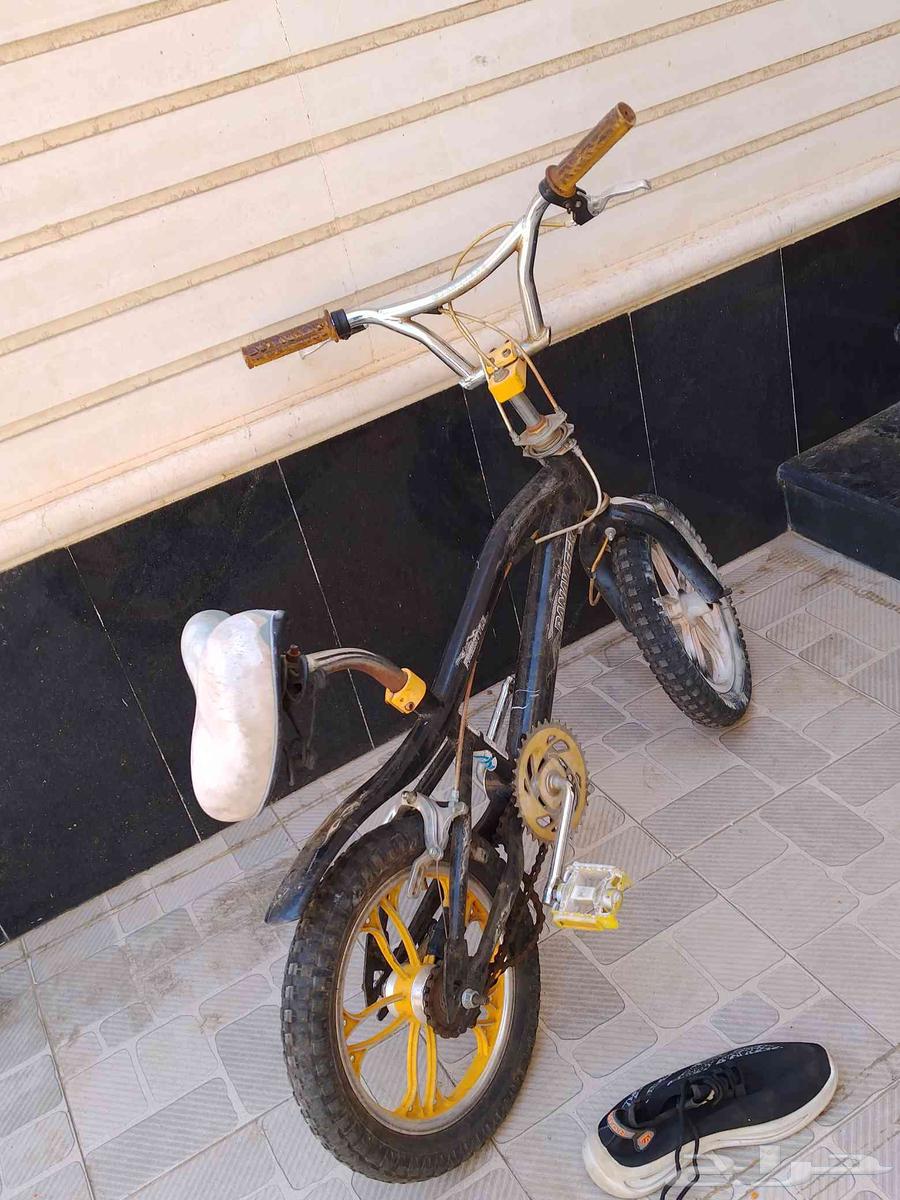 Butterfly Cycle and Cobra Cycle63654697814019114