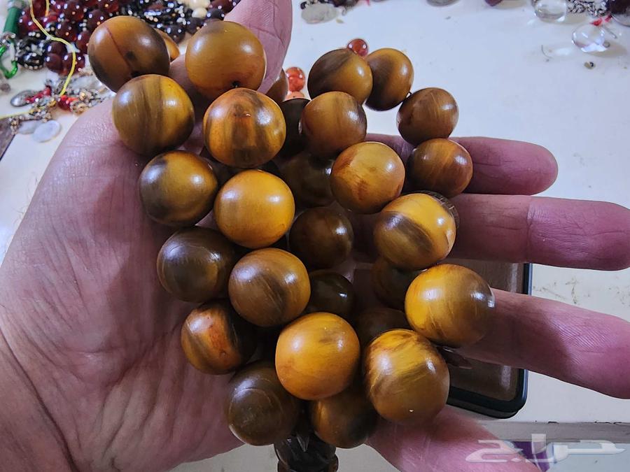 مسباح خرتيت من النوادر جامبوو63655099797633110