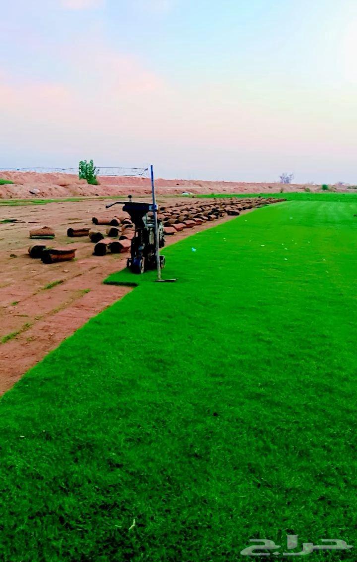 الخرج63669793649666110