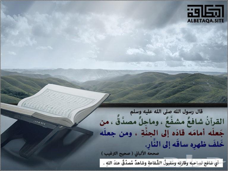 Quran Teacher (Online)63654961967873111