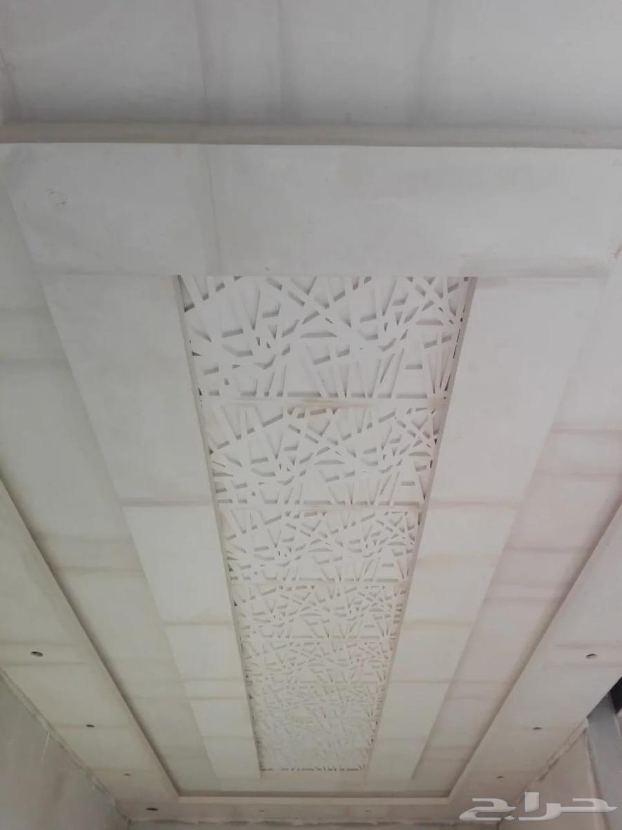 202363657126784259111