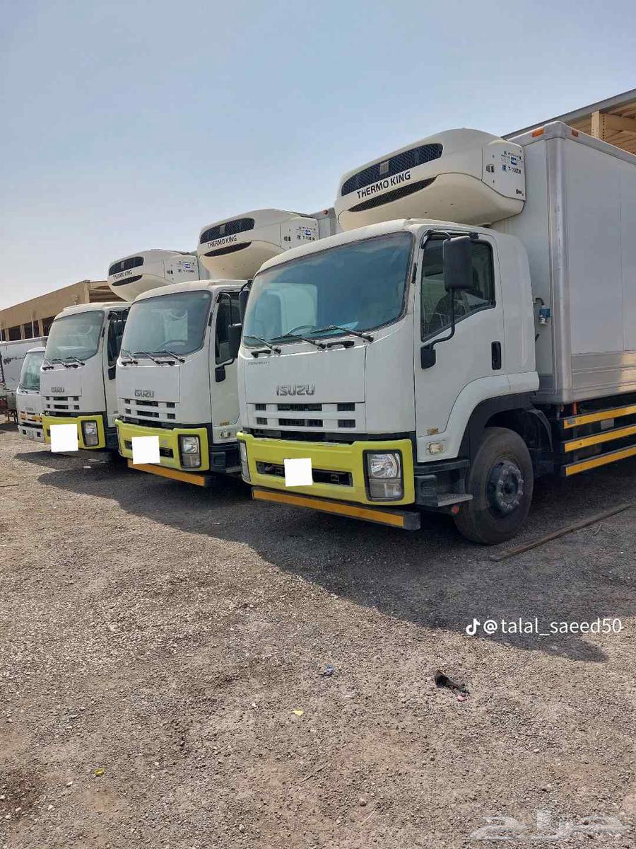 Isuzu Lorry FVR Refrigerator63667646020226110