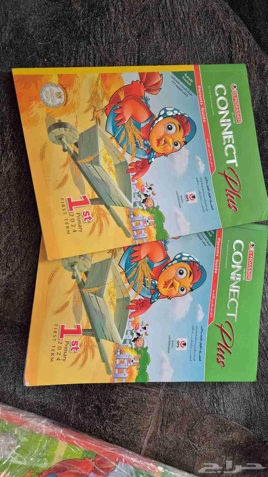 Connect Plus Book for First Grade Elementary 202463655221449473110