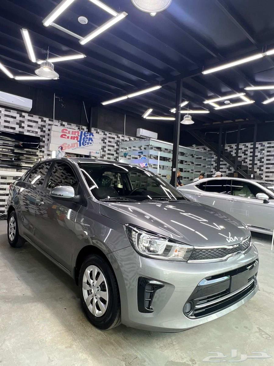 Kia Pegas Standard Saudi 2025 All Colors63667498444035114