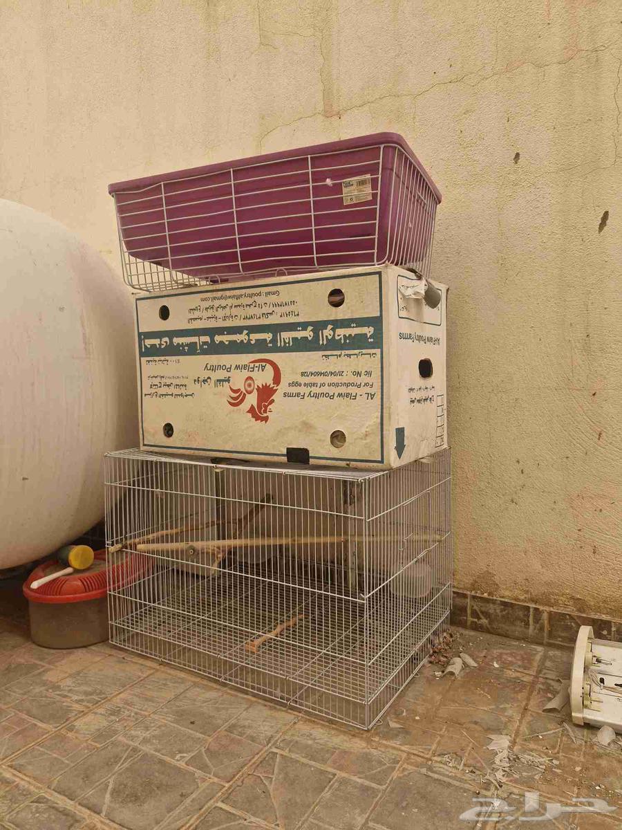 قفص طيور - شبك طيور63621085938178111