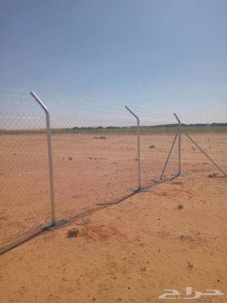 Iron fence, mesh, and date palm and Washingtonia supply and installation63617939524865114
