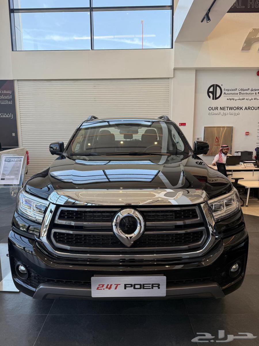 Great Wall Power New Model 2025 Special Offers for Cash63667648618242110