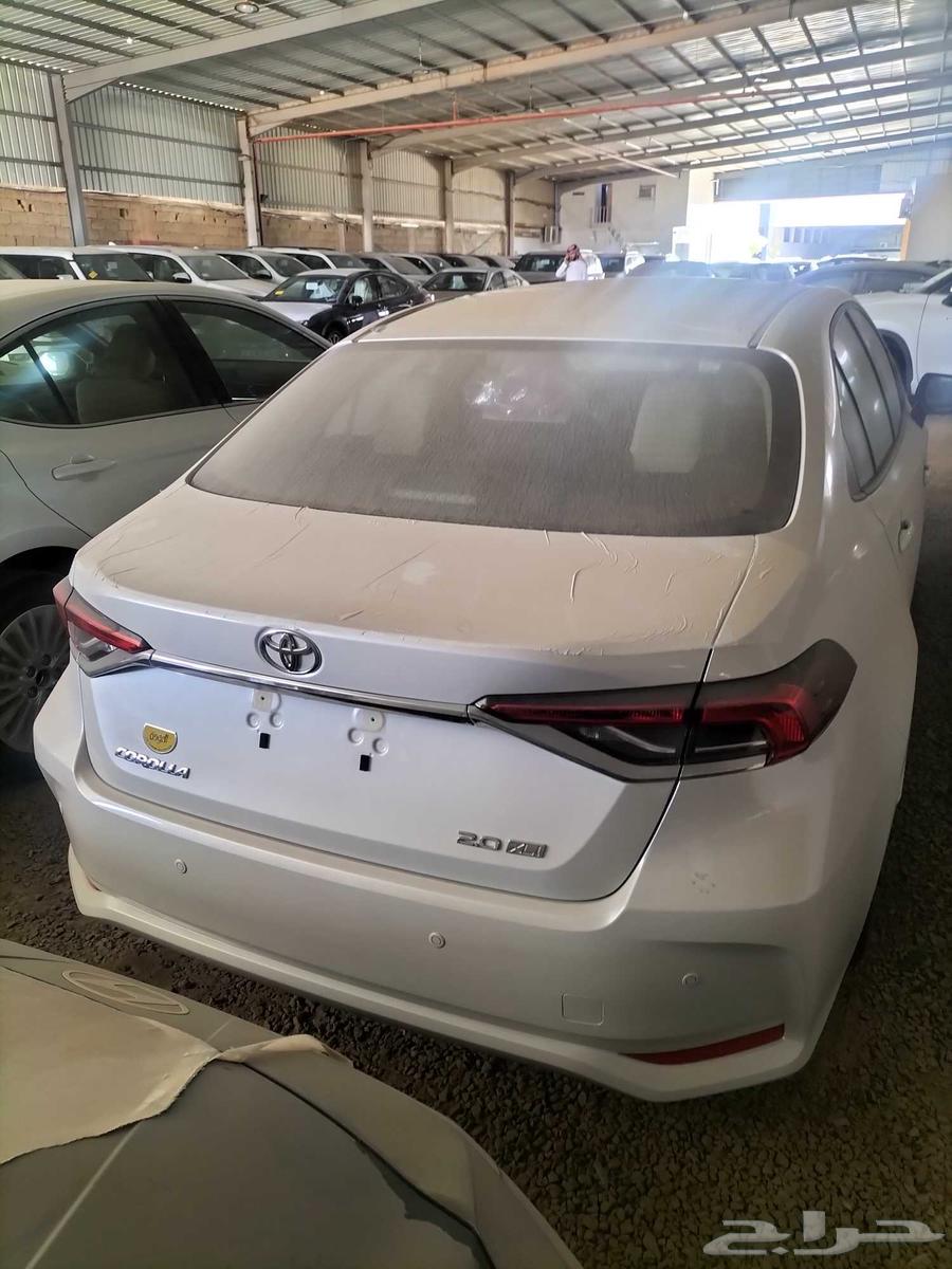 Korla Standard 200063676972366467110