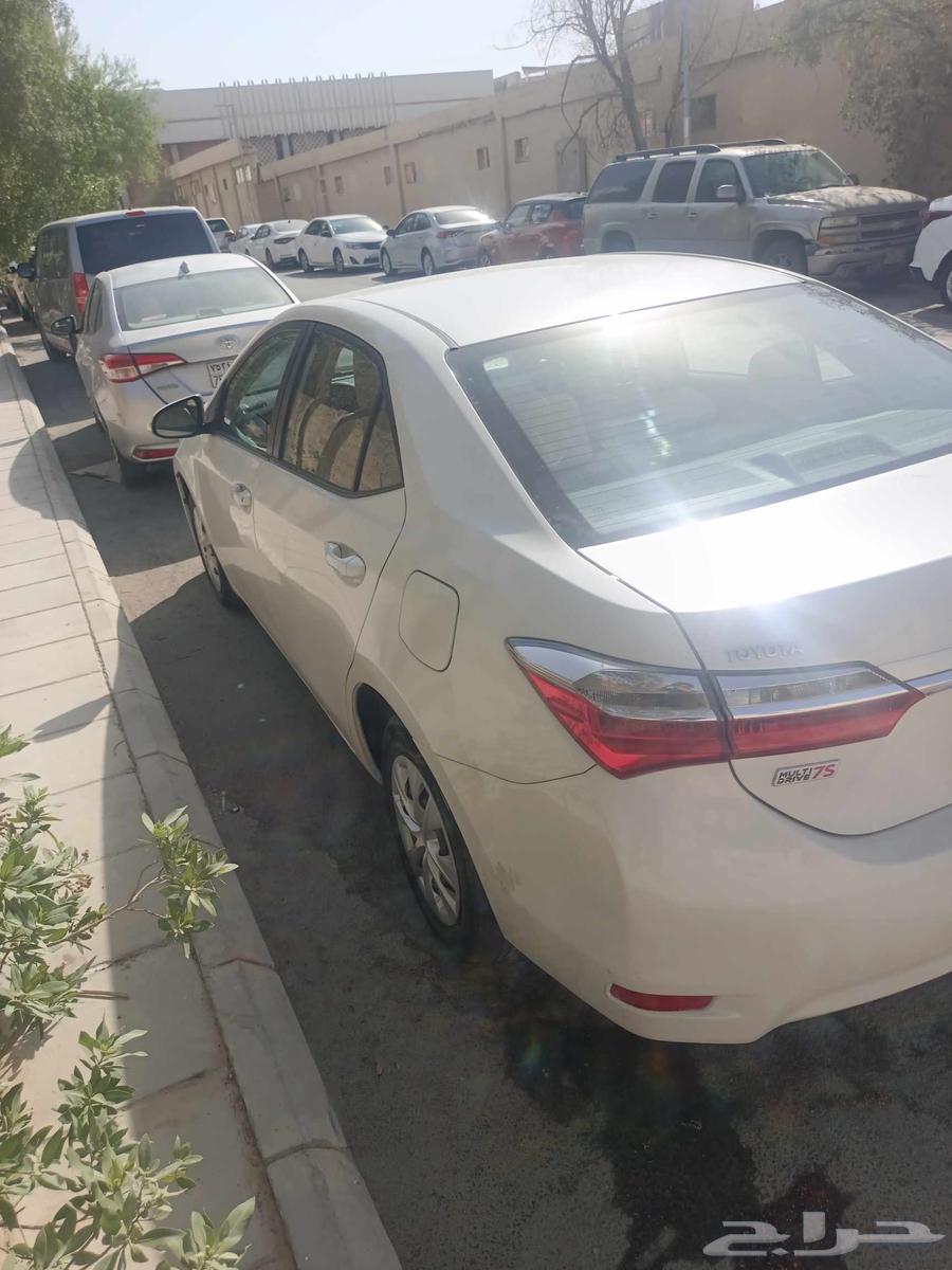 تويوتا كورولا 2019 موديل جالتي سى ديفا هوبى جوجا جوجا نومبي63680350192899111