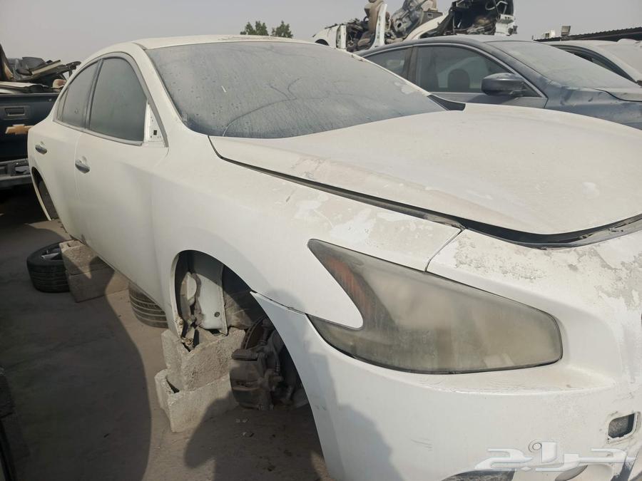 Maxima63672829002754114