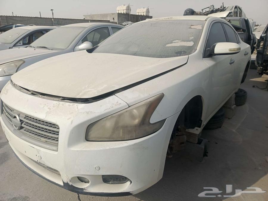 Maxima63672829002754113
