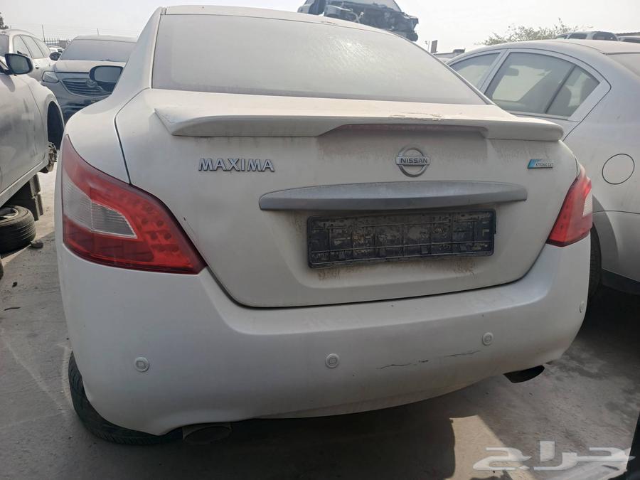 Maxima63672829002754112