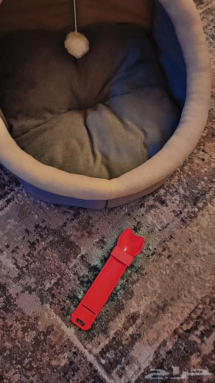 Cat bed with cat spoon63655424162946113