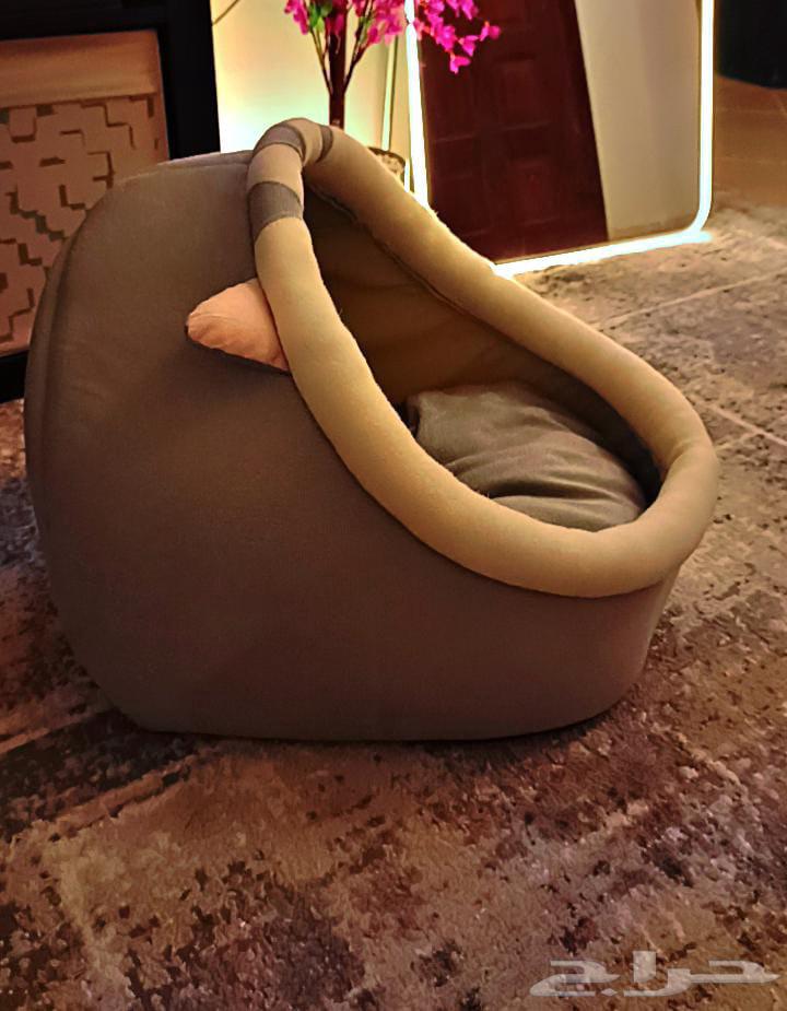 Cat bed with cat spoon63655424162946111