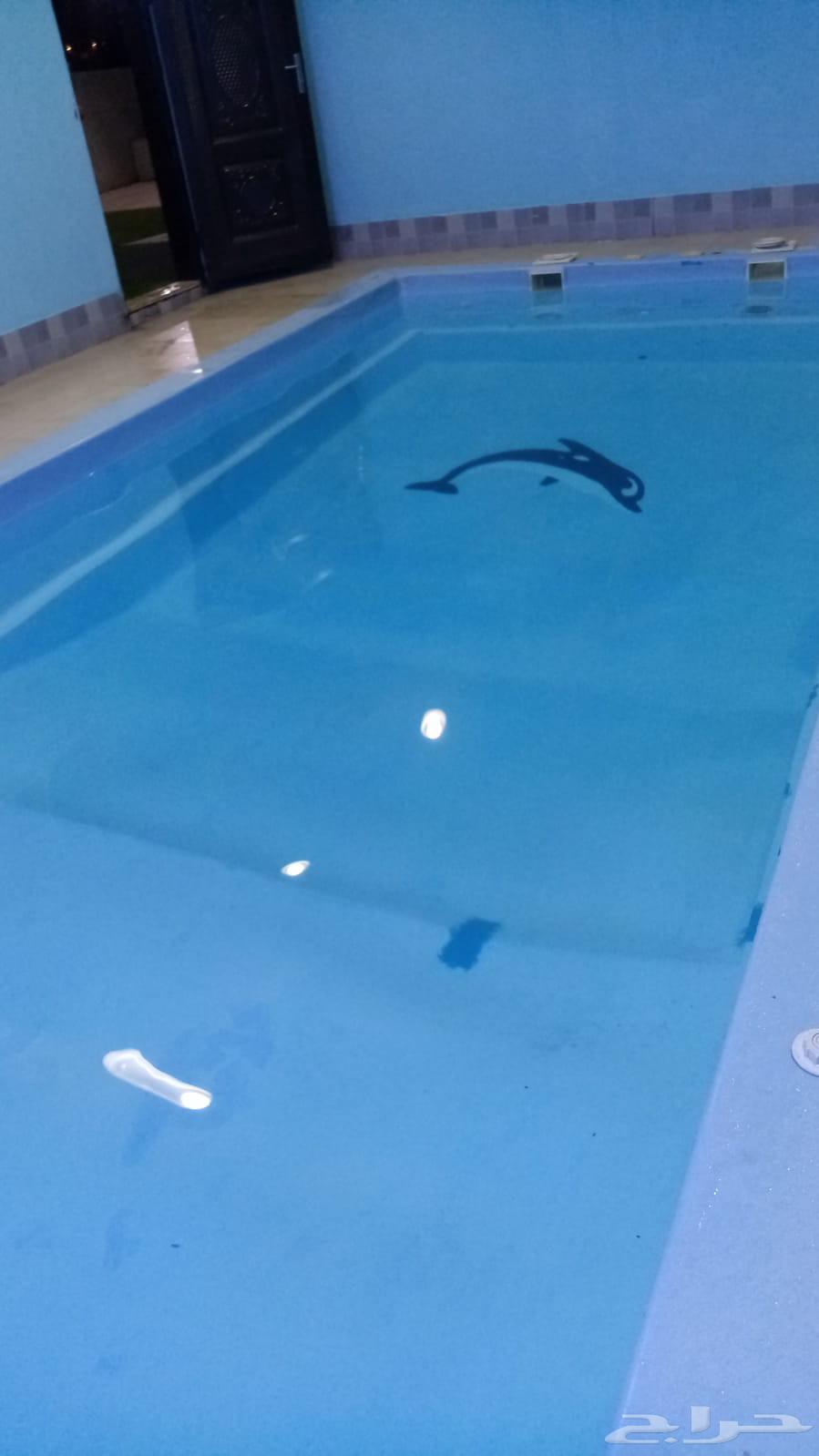 4x8 Pool for Sale63623295159171113