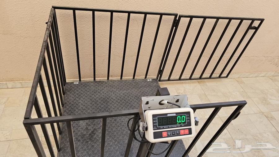 Electronic sheep and livestock scale with net, only four left63657593096451114