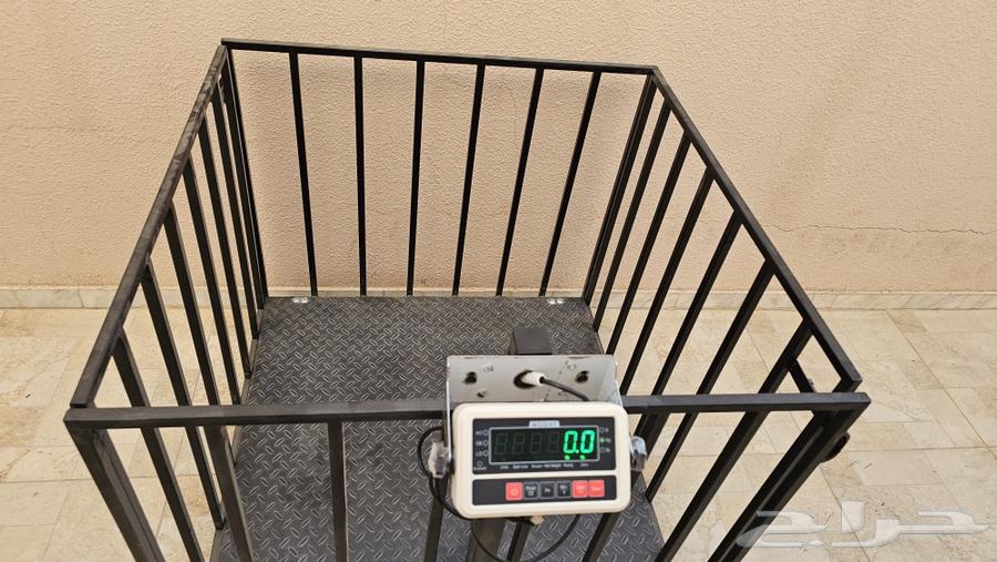 Electronic sheep and livestock scale with net, only four left63657593096451110