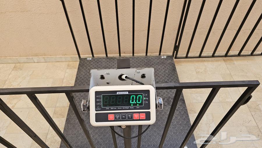 Electronic sheep and livestock scale with net, only four left63657593096451113