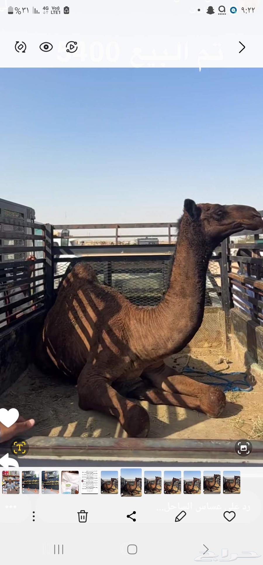Folded unbranded for sale.. Sold on site63667538109698111