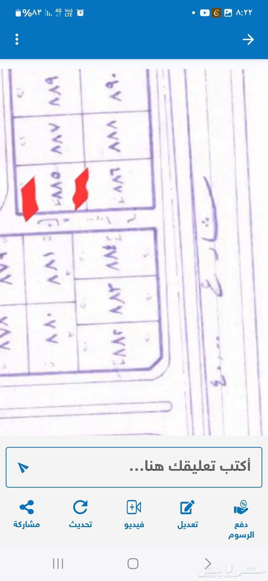 Cat for sale, Al-Hajri plot 10, land number 88563656970280322111