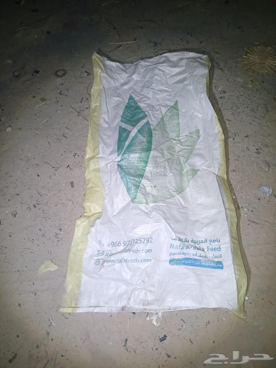 للبيع خياش نايلون63655623045889110