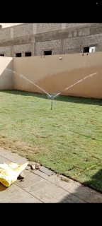 نجيل صافي63656452069251113