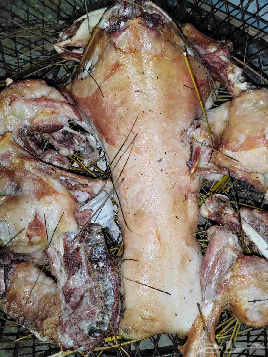 Meat Slaughtering for 1150 SAR63655701897219111