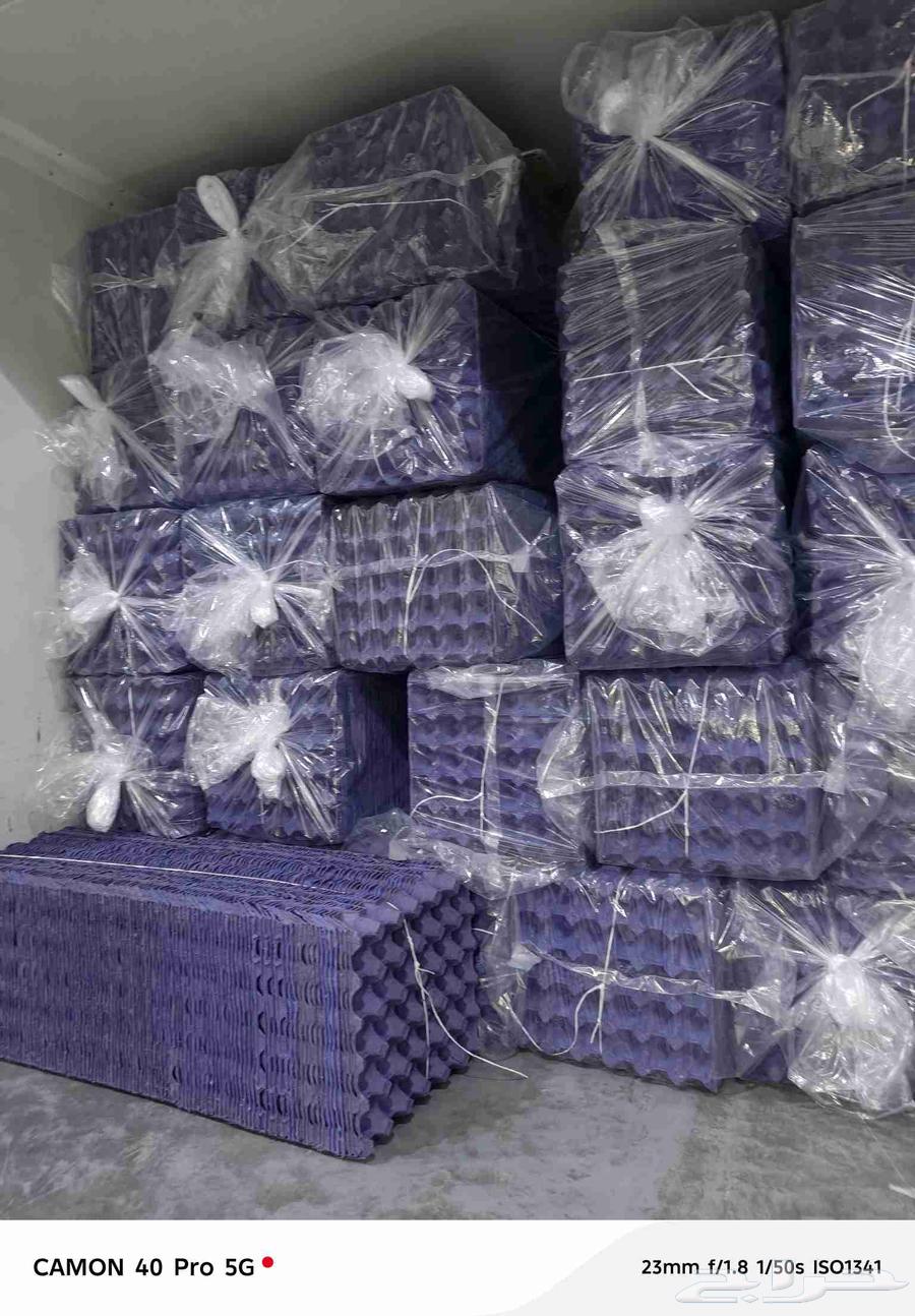 اطباق بيض نظيفة جدا للبيع اقل شي 10 ربطة63656052406786111