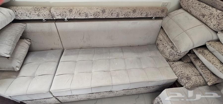Clean sofa63656970402178111