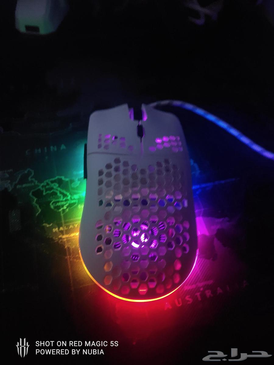 Professional White Mouse PB8063655622373121110