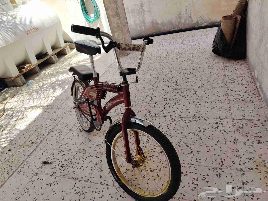 سيكل رامبو عنابي63657150066179110