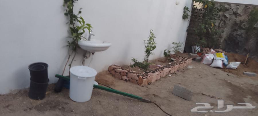مباني حجر كبير وصغير بل يد وبل بكلين63698960519554111