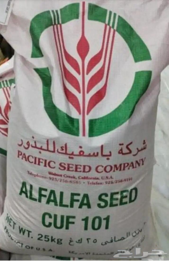موجود عندي برسيم 10163655709213186110