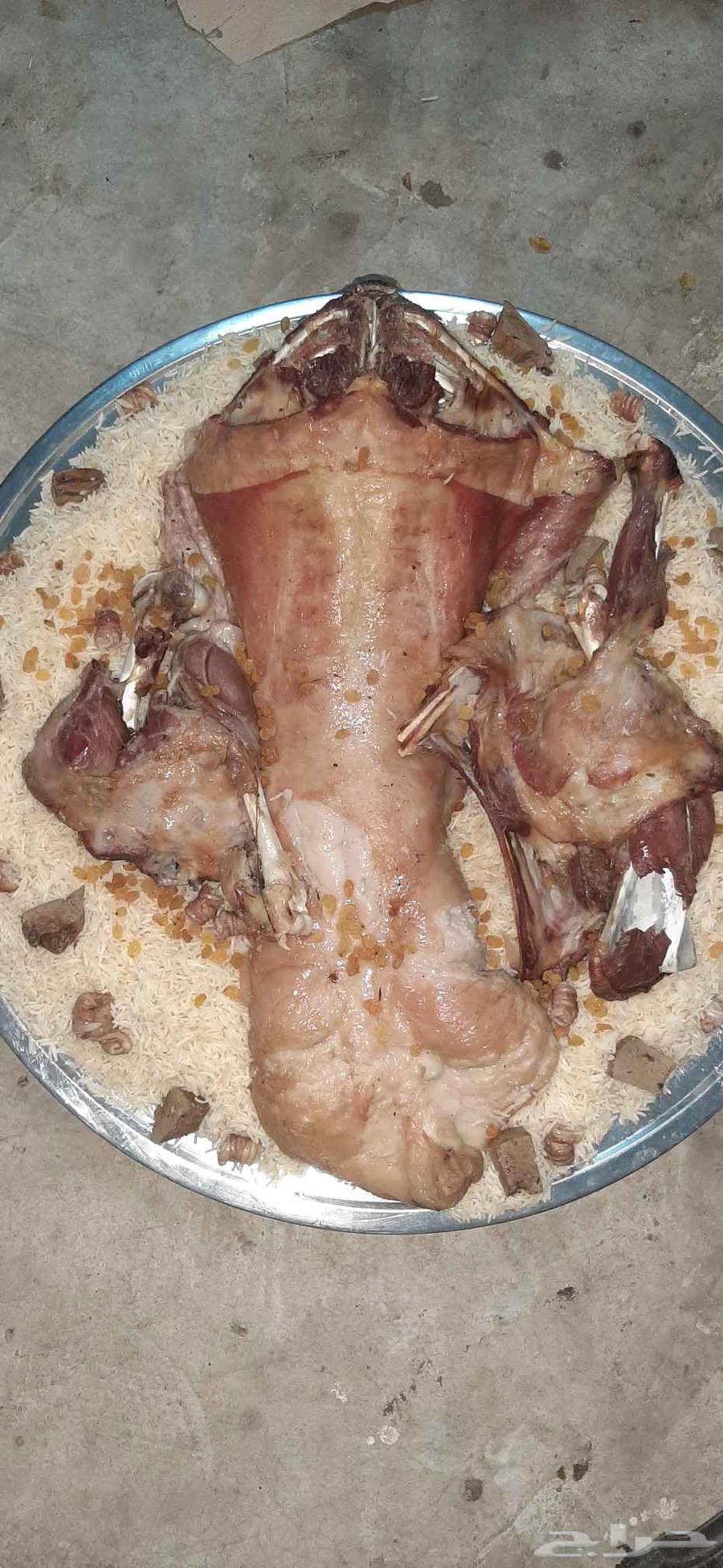 Meat Slaughtering for 1150 SAR63655701897219113