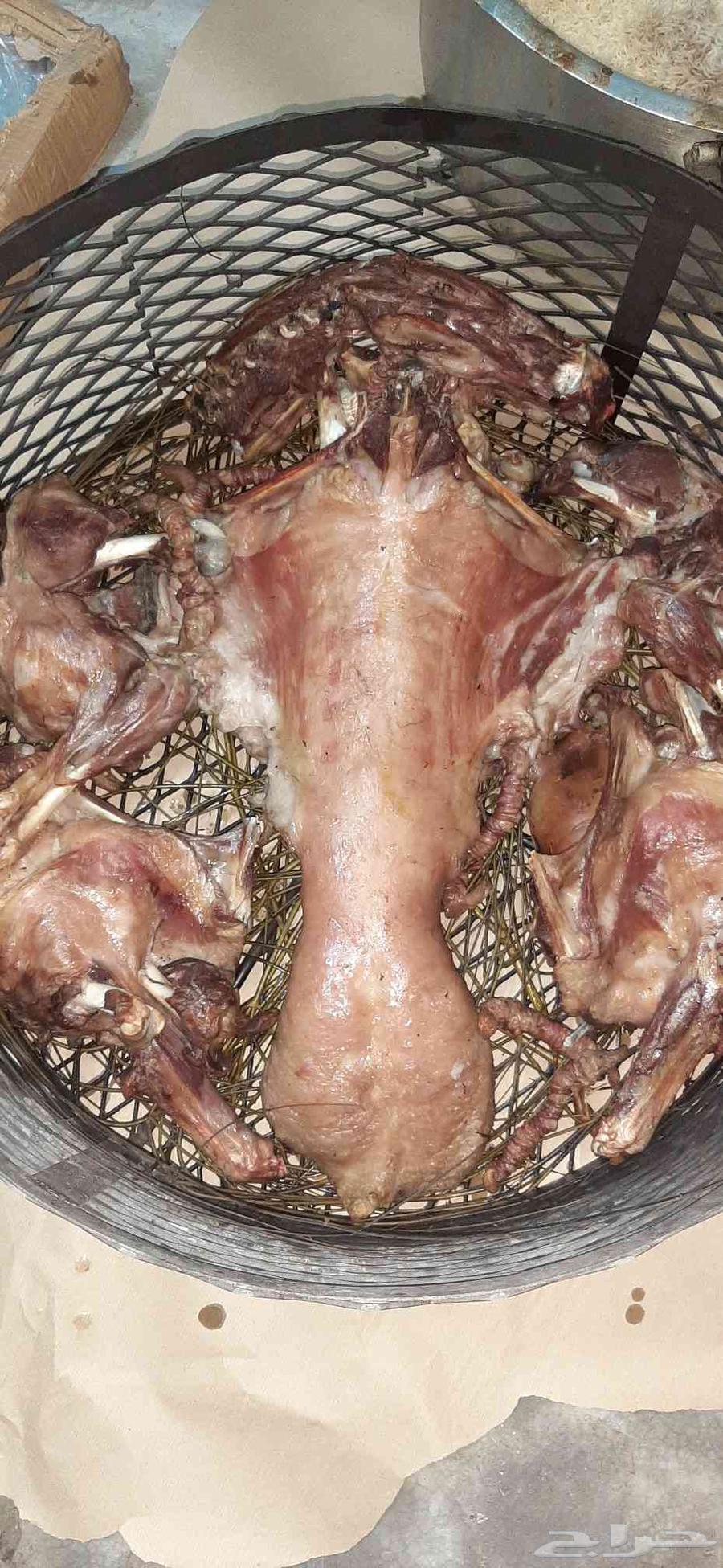 Meat Slaughtering for 1150 SAR63655701897219114