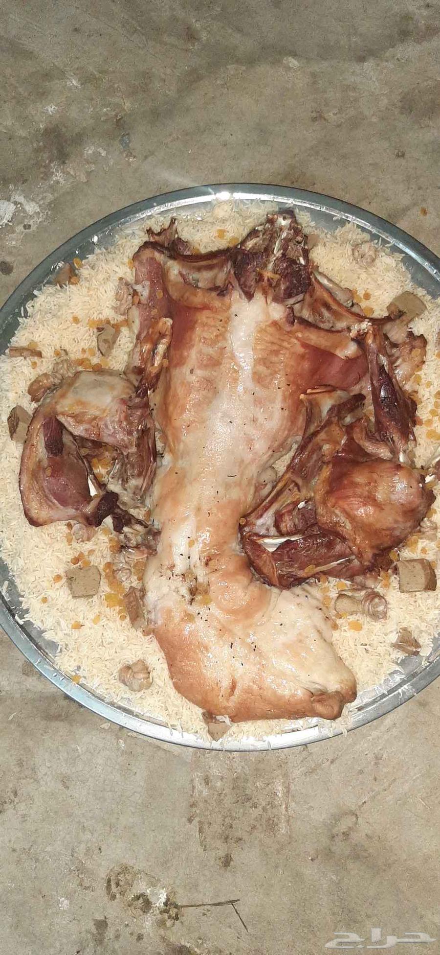 Meat Slaughtering for 1150 SAR63655701897219112